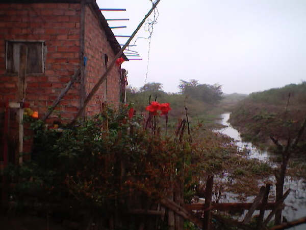 12 Bloemen in Machala