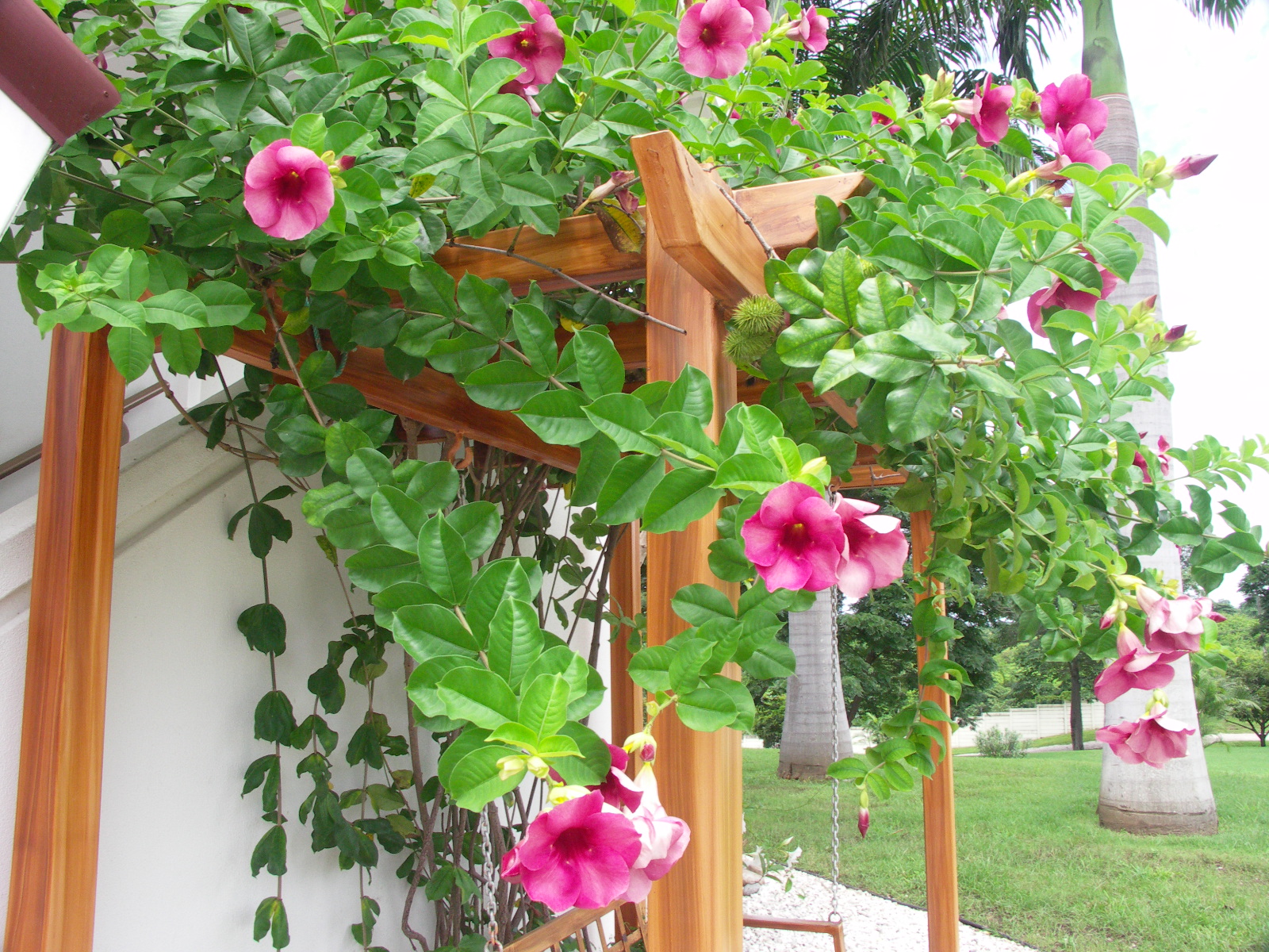 Bloemen