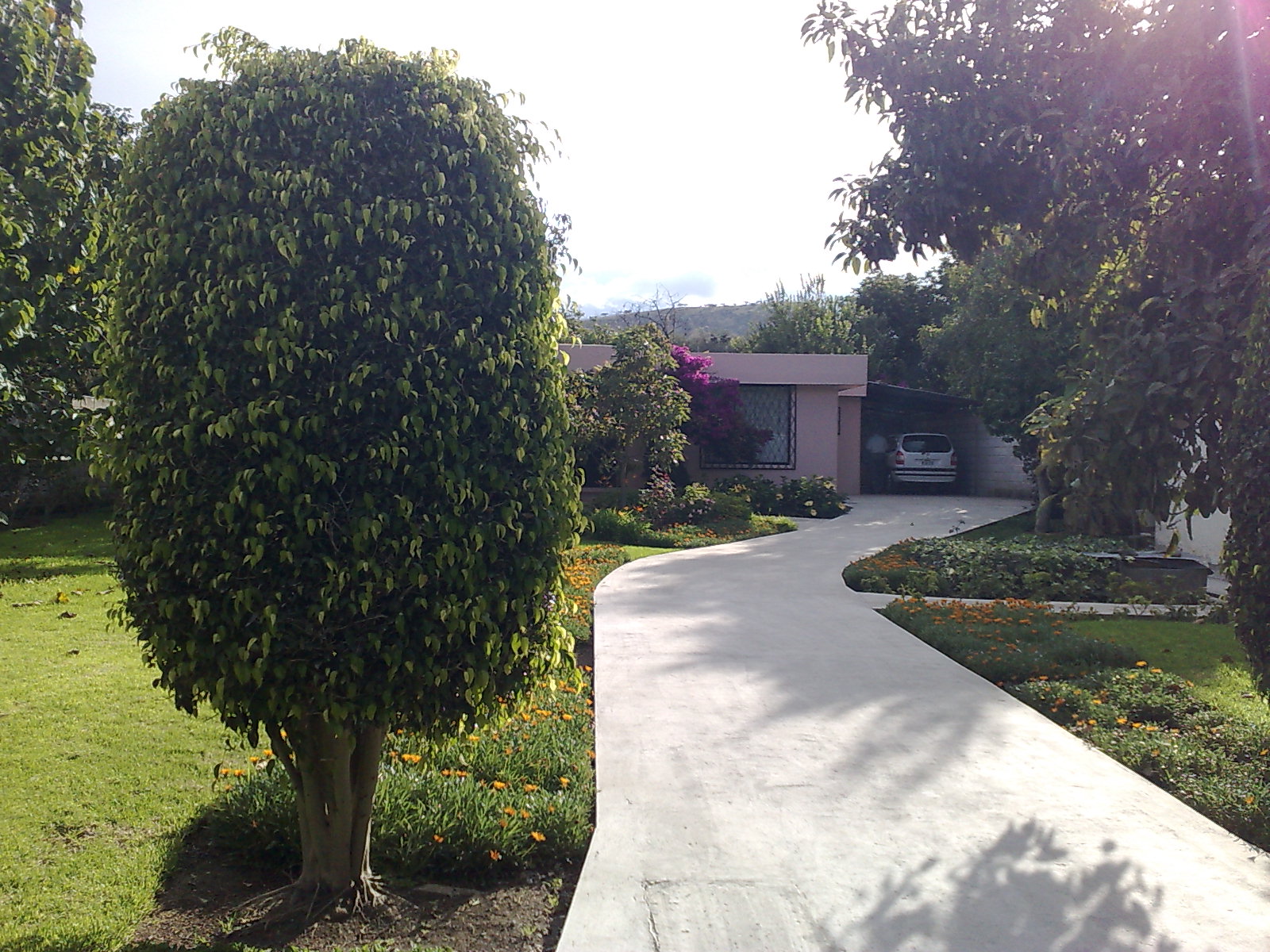 Huis en tuin Davis en familie
