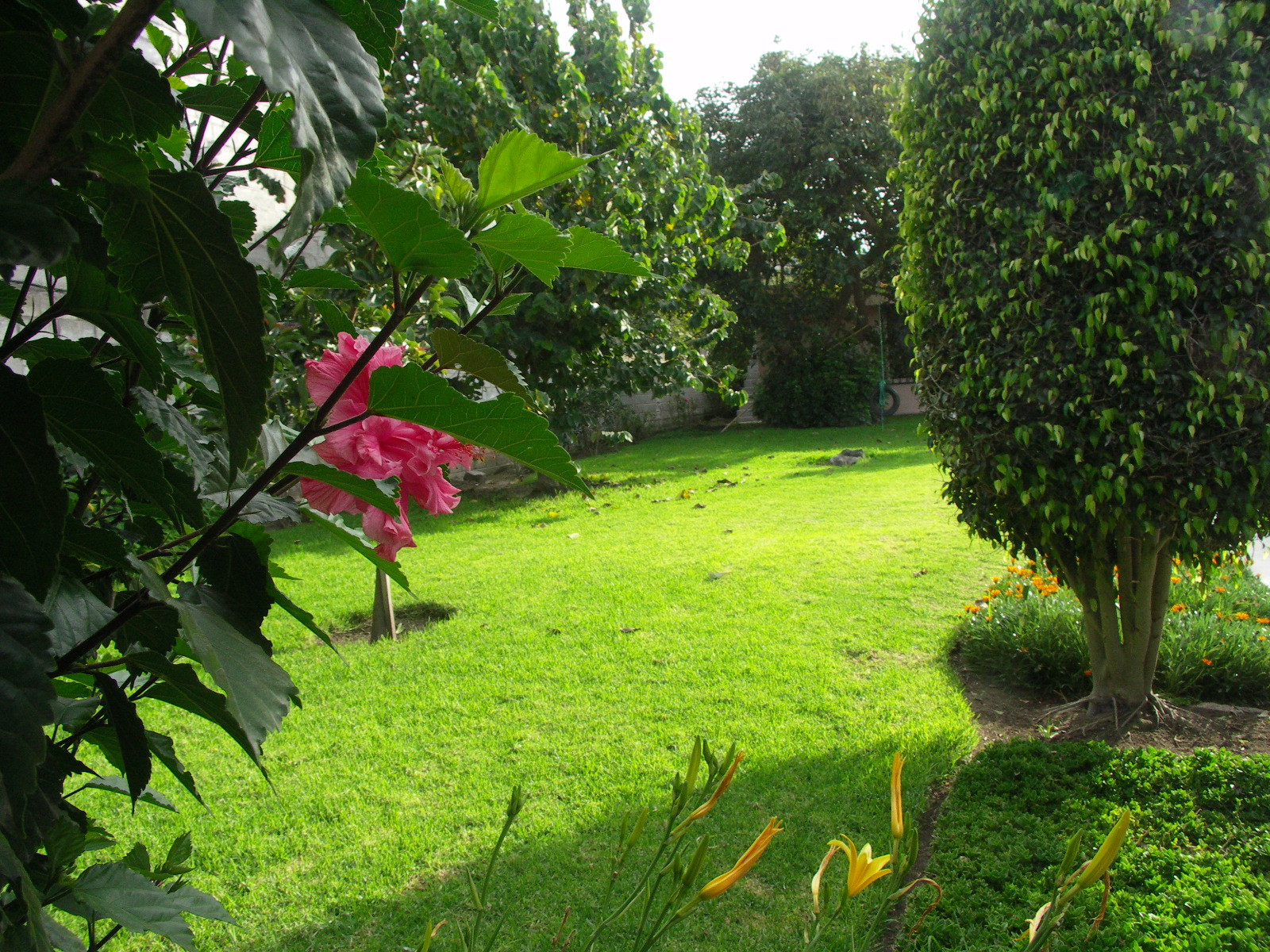 Voortuin