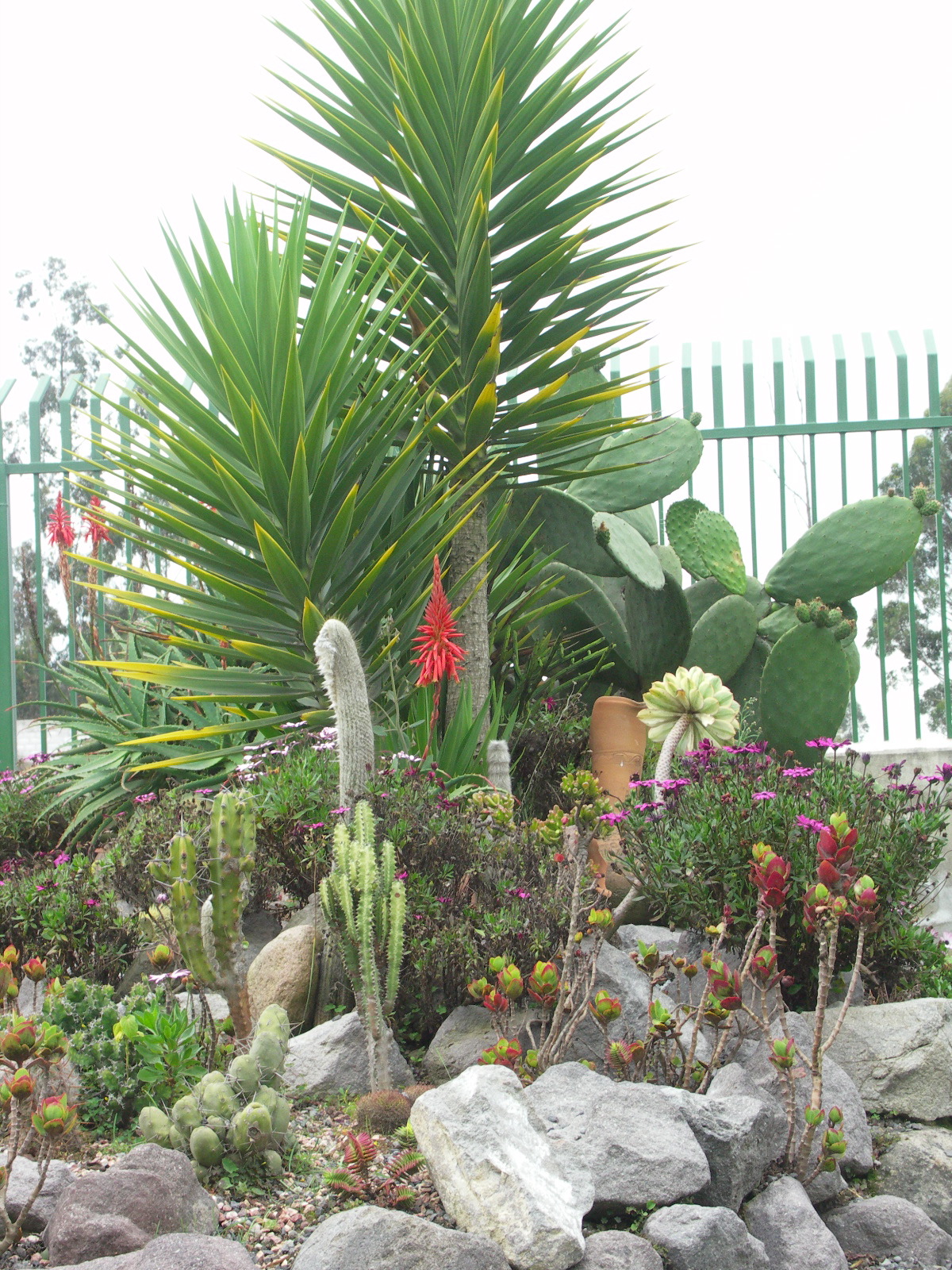 Mooi stukje tuin 1